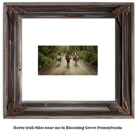 horse trail rides near me in Blooming Grove, Pennsylvania